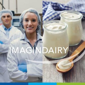 Imagindairy